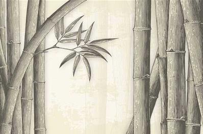 Papier peint haut de gamme zen Bamboo
